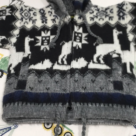 Boys Hoodie - Picture 3 of 8